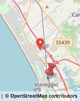 Via San Martino, 330,55049Viareggio