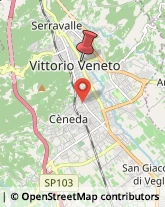 Via Virgilio, 43,31029Vittorio Veneto