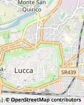 Latterie,55100Lucca