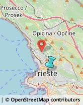 Osterie e Trattorie,34125Trieste