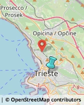 Osterie e Trattorie,34125Trieste