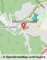 Supermercati e Grandi magazzini,83013Avellino