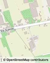 Via Scaiole, 76,37050San Giovanni Lupatoto