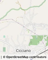 Via Cicciano, 1,80030Roccarainola