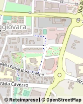 Via Giuseppe Gambigliani Zoccoli, 25,41126Modena