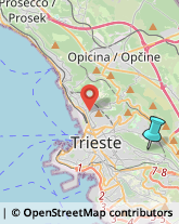 Formazione, Orientamento e Addestramento Professionale - Scuole,34142Trieste