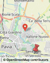 Viale Cremona, 4,27100Pavia