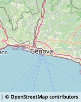 Via Branega, 129,16157Genova