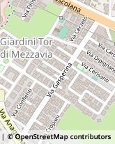 Via Gasperina, 161,00173Roma