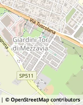 Via Dipignano, 66,00173Roma