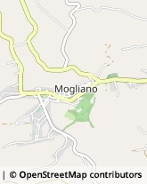 Via Regina Margherita, 18,62010Mogliano