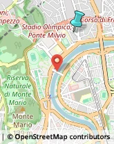 Locali, Birrerie e Pub,00135Roma