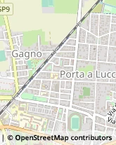 Via di Gagno, 28,56123Pisa