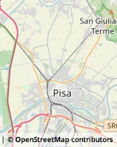 Via Fiorentina, 141,56121Pisa