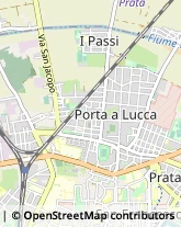 Agopuntura,56123Pisa