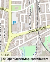 Viale Macallè, 14,51100Pistoia