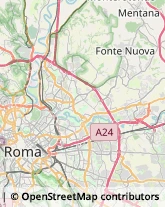 Via Circonvallazione Nomentana, 222,00162Roma