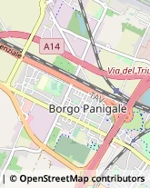 Autotrasporti,40132Bologna