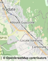 Locali, Birrerie e Pub,21049Varese