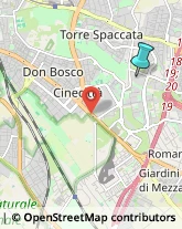 Consulenza Informatica,00173Roma