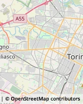 Zucchero,10095Torino