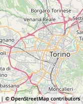 Zucchero,10093Torino