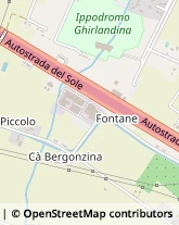 Strada Cadiane, 268,41100Modena