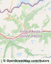 Tour Operator e Agenzia di Viaggi,11014Aosta