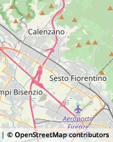 Trasporto Pubblico,50019Firenze