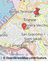 Via Ruggero Timeus, 14,34125Trieste