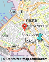 Autofficine e Centri Assistenza,34137Trieste