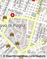 Via Annunziata, 19,70037Ruvo di Puglia