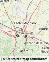 Metalli e Leghe,40016Bologna