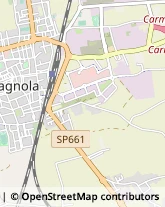 Via Pollenzo, 27,10022Carmagnola