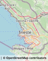 Biciclette - Ingrosso e Produzione,34010Trieste