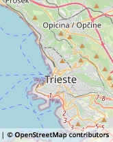 Biciclette - Ingrosso e Produzione,34146Trieste