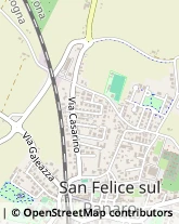 Via Grazia Deledda, 96,41038San Felice sul Panaro