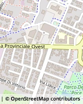 Via della Pace, 13,41015Nonantola