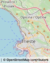 Enoteche,34138Trieste