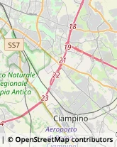 Viale Antonio Ciamarra, 51753,00173Roma