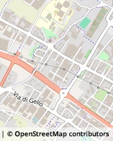 Via dei Pioppi, 19,59100Prato