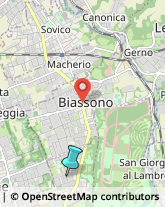 Palestre e Centri Fitness,20854Monza e Brianza