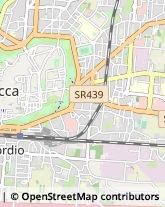 Podologia - Studi e Centri,55100Lucca