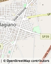 Viale Chiatona, 14,74019Palagiano