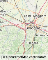 Via Arturo Solari, 39,40128Bologna