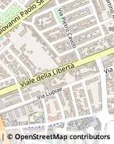 Viale della Libertà, 95/A,73100Lecce