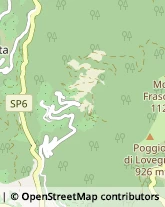 Strada Provinciale, Snc,18026Pieve di Teco