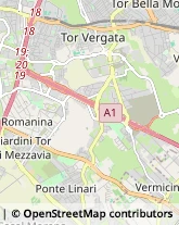 Via Angelo Motta, 8,00133Roma