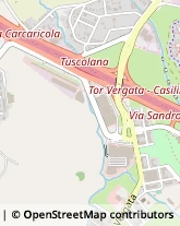 Viale Luigi Schiavonetti, 270,00173Roma