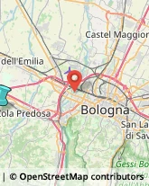 Demolizioni e Scavi,40069Bologna